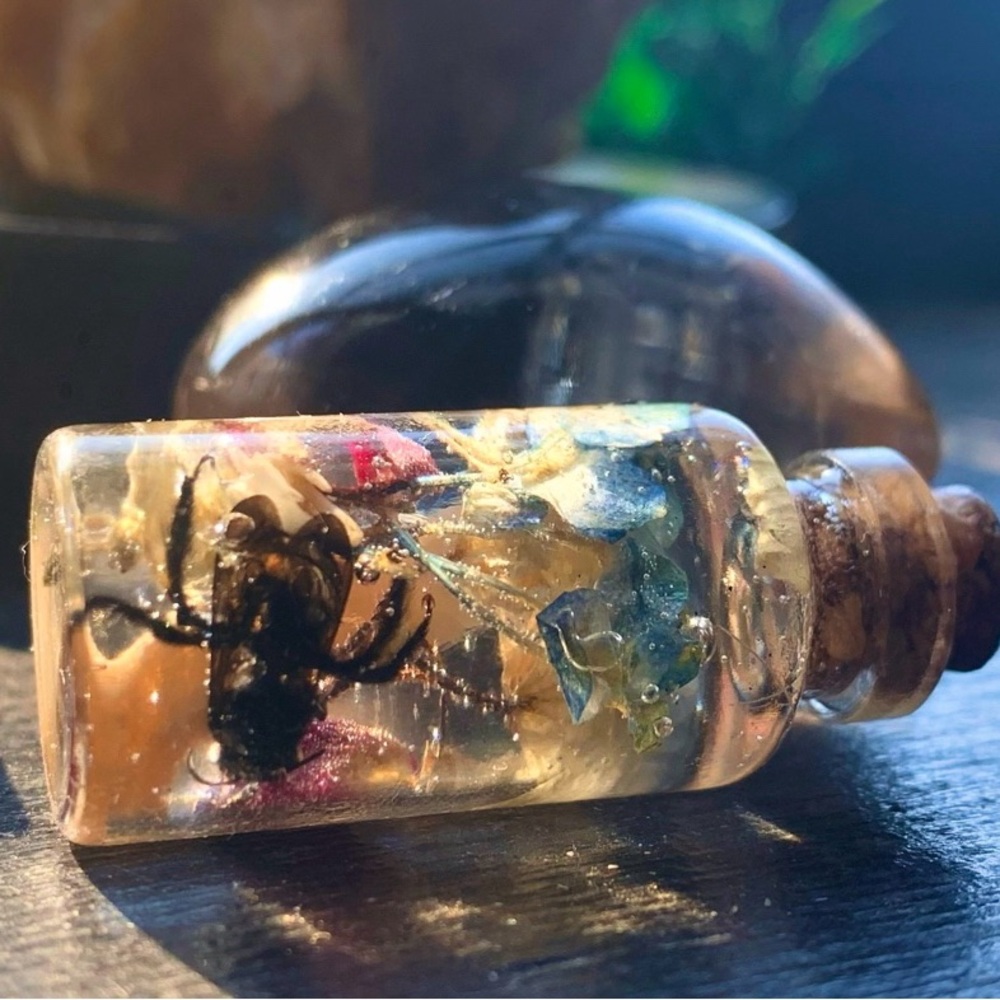 Glass Vial - Jar Preserved Oddity and Curiosity - Goth Decor